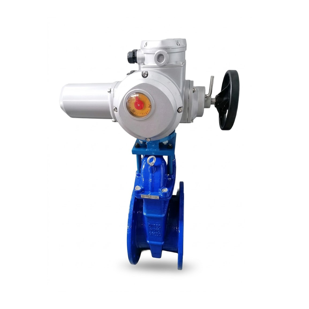 Resilient Seated Gate Valve + Flowinn EMD Basic Electric Actuator