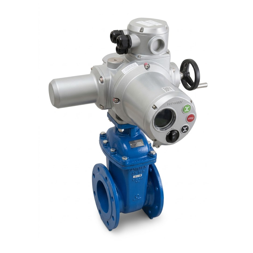 Resilient Seated Gate Valve + Flowinn EMD Intelligent Electric Actuator